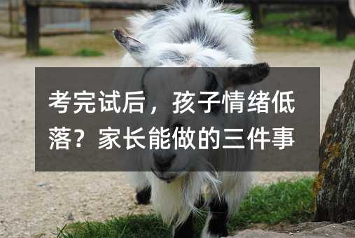 考完试后,孩子情绪低落?家长能做的三件事