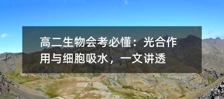 高二生物会考必懂:光合作用与细胞吸水,一文讲透