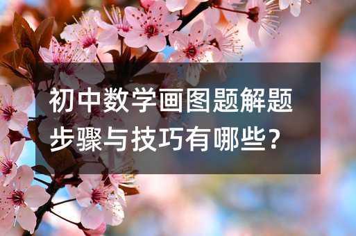 初中数学画图题解题步骤与技巧有哪些?
