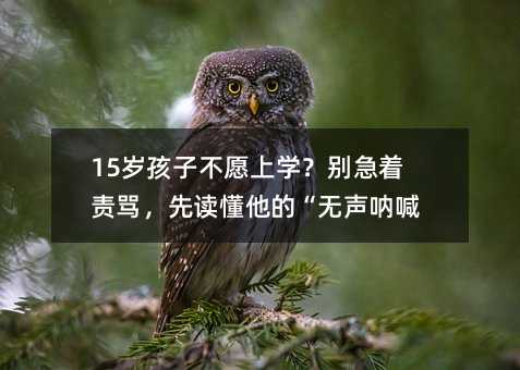 15꺢ӲԸѧȶġź