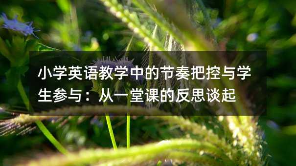 小学英语教学中的节奏把控与学生参与:从一堂课的反思谈起