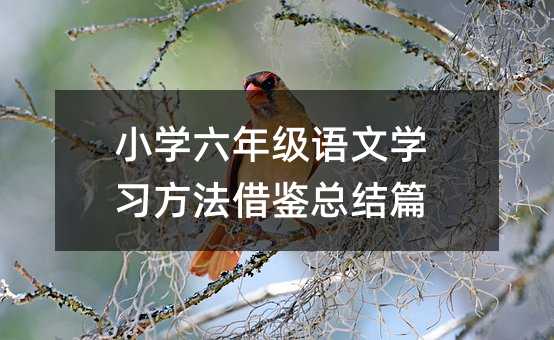 小学六年级语文学习方法借鉴总结篇