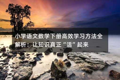 小学语文数学下册高效学习方法全解析:让知识真正“活”起来