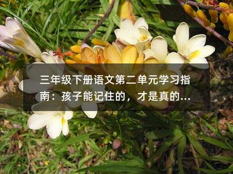 三年级下册语文第二单元学习指南:孩子能记住的,才是真的学会