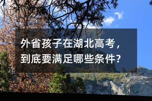 外省孩子在湖北高考,到底要满足哪些条件?
