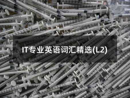 IT专业英语词汇精选(L2)