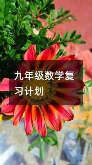 九年级数学复习计划