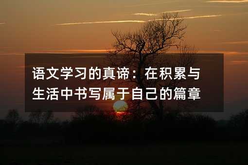 语文学习的真谛:在积累与生活中书写属于自己的篇章