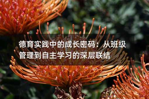 德育实践中的成长密码:从班级管理到自主学习的深层联结
