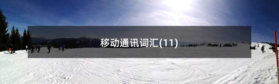 移动通讯词汇(11)