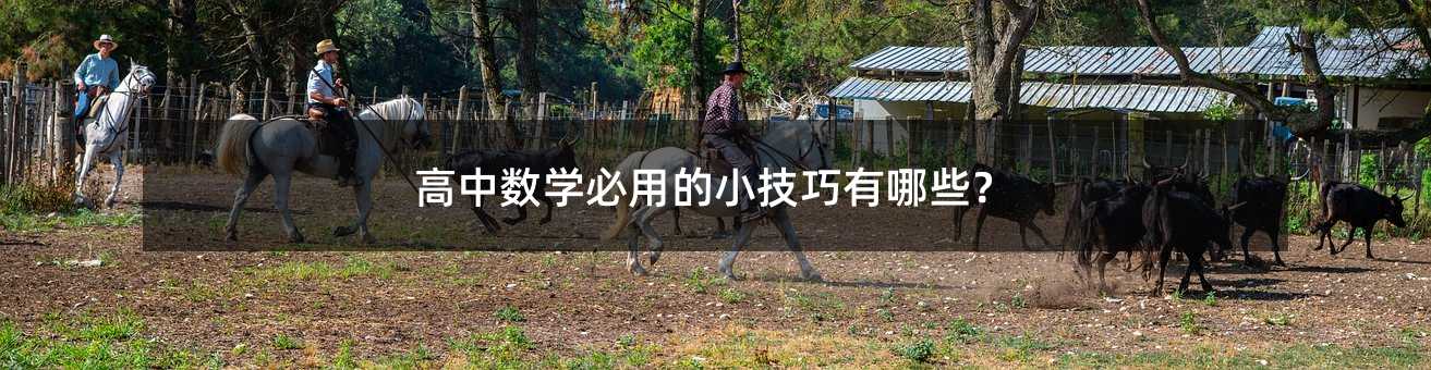 高中数学必用的小技巧有哪些?