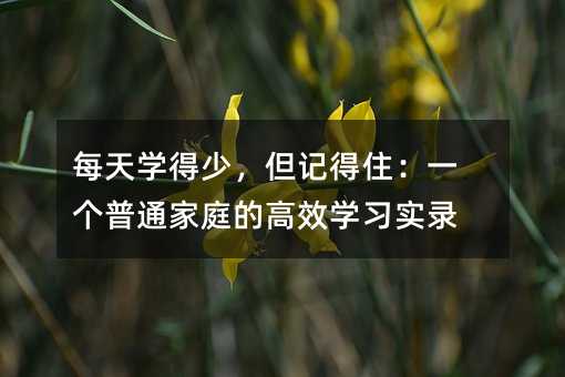 每天学得少,但记得住:一个普通家庭的高效学习实录
