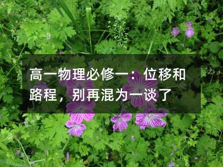 高一物理必修一:位移和路程,别再混为一谈了