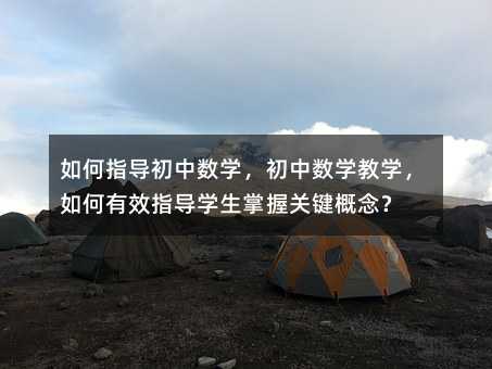 如何指导初中数学,初中数学教学,如何有效指导学生掌握关键概念?