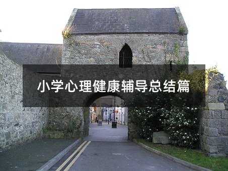 小学心理健康辅导总结篇