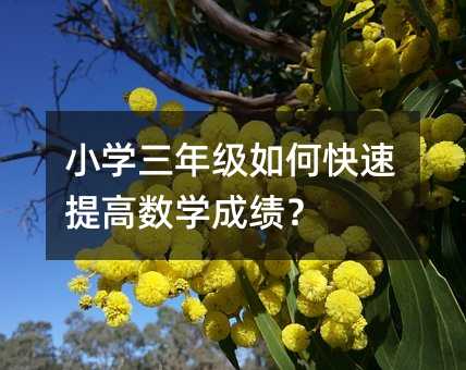 小学三年级如何快速提高数学成绩?