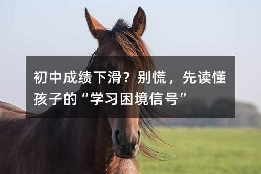 гɼ»ţȶӵġѧϰźš