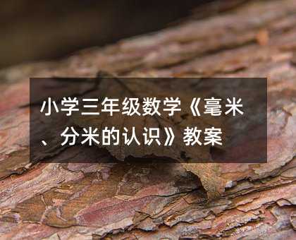 小学三年级数学《毫米、分米的认识》教案