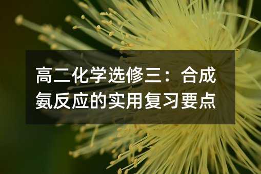 高二化学选修三:合成氨反应的实用复习要点