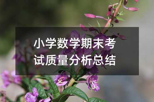 小学数学期末考试质量分析总结
