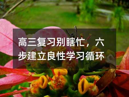 高三复习别瞎忙,六步建立良性学习循环