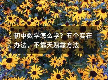初中数学怎么学?五个实在办法,不靠天赋靠方法