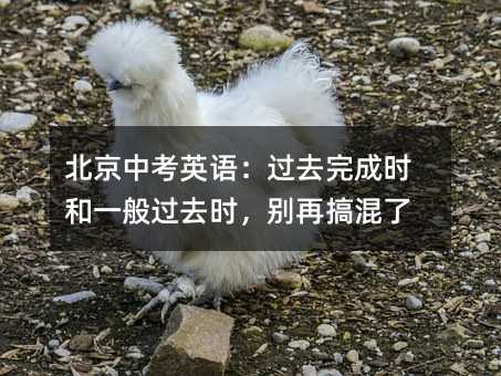 ±±¾©Öп¼Ó¢Ó¹ýÈ¥Íê³ÉʱºÍÒ»°ã¹ýȥʱ£¬±ðÔÙ¸ã»ìÁË