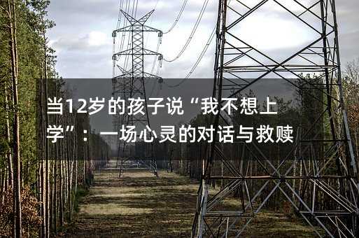 当12岁的孩子说“我不想上学”:一场心灵的对话与救赎