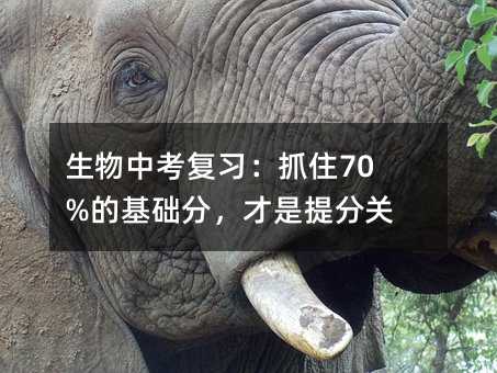 生物中考复习:抓住70%的基础分,才是提分关键
