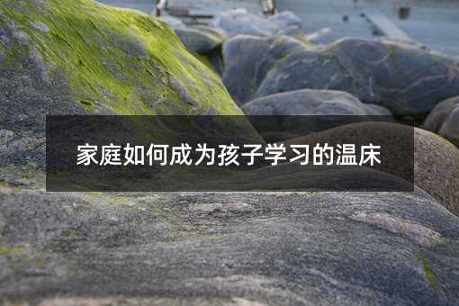 家庭如何成为孩子学习的温床