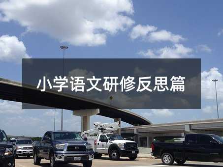 小学语文研修反思篇