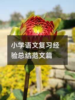 小学语文复习经验总结范文篇