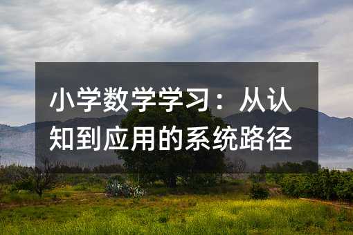 小学数学学习:从认知到应用的系统路径
