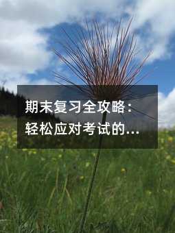 期末复习全攻略:轻松应对考试的三个关键步骤