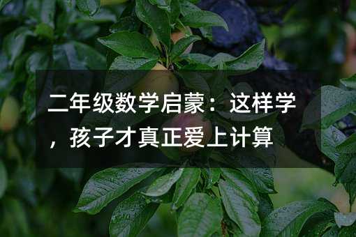 二年级数学启蒙:这样学,孩子才真正爱上计算