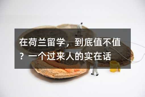 在荷兰留学,到底值不值?一个过来人的实在话