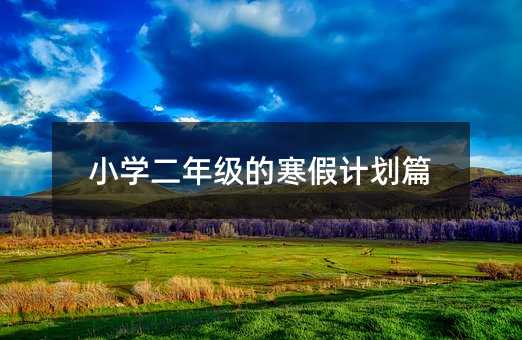 小学二年级的寒假计划篇