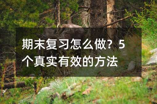 期末复习怎么做?5个真实有效的方法