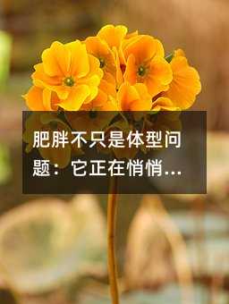 肥胖不只是体型问题:它正在悄悄影响孩子的中考前途