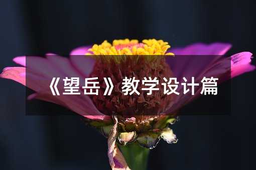 《望岳》教学设计篇