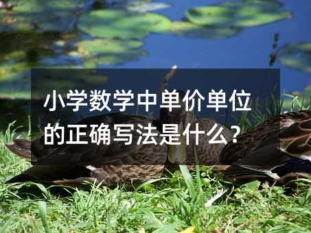小学数学中单价单位的正确写法是什么?