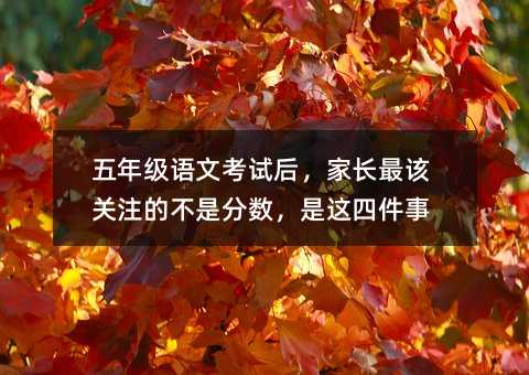 五年级语文考试后,家长最该关注的不是分数,是这四件事