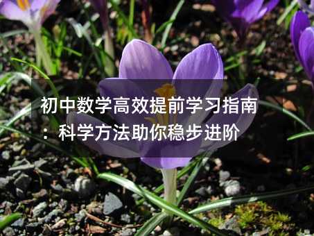 初中数学高效提前学习指南:科学方法助你稳步进阶