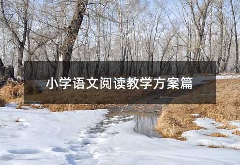 小学语文阅读教学方案篇