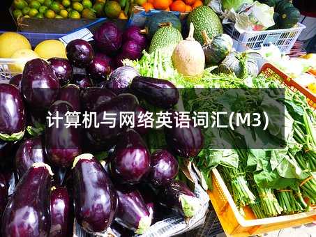 计算机与网络英语词汇(M3)