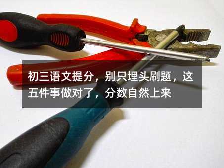 初三语文提分,别只埋头刷题,这五件事做对了,分数自然上来