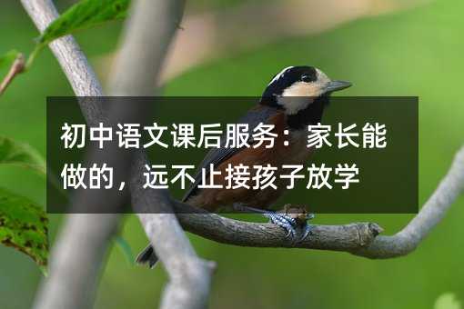 初中语文课后服务:家长能做的,远不止接孩子放学