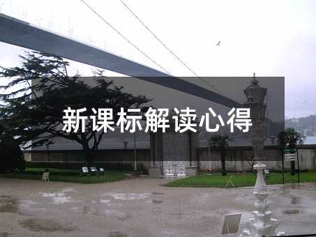新课标解读心得