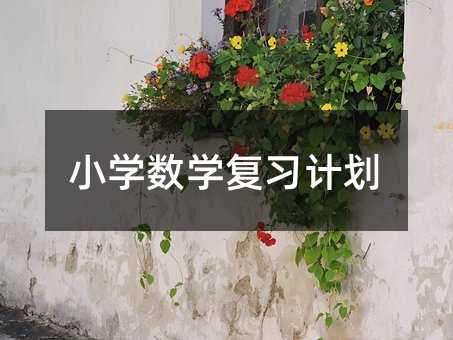 小学数学复习计划