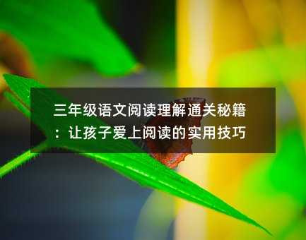 三年级语文阅读理解通关秘籍:让孩子爱上阅读的实用技巧